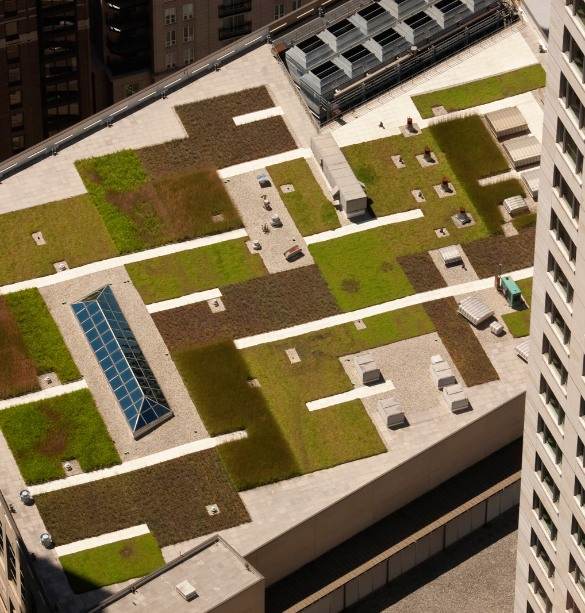 Skilled Installers Assembling Green Roof in Los Angeles